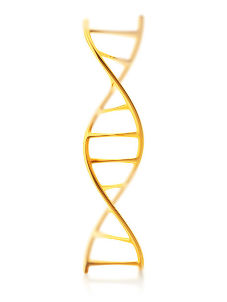 gene