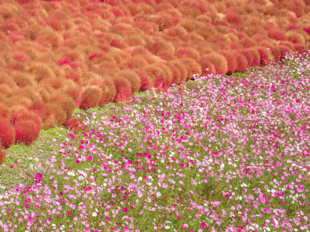 绿黄渐变圆形抽象花纹图案