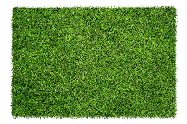 meadow