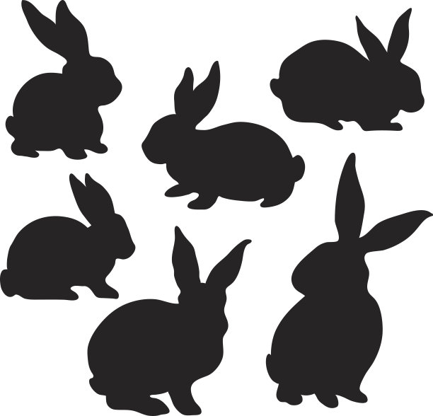 bunny