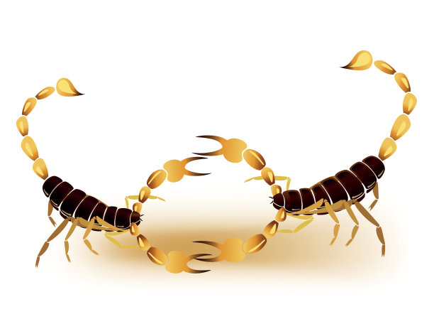 scorpio