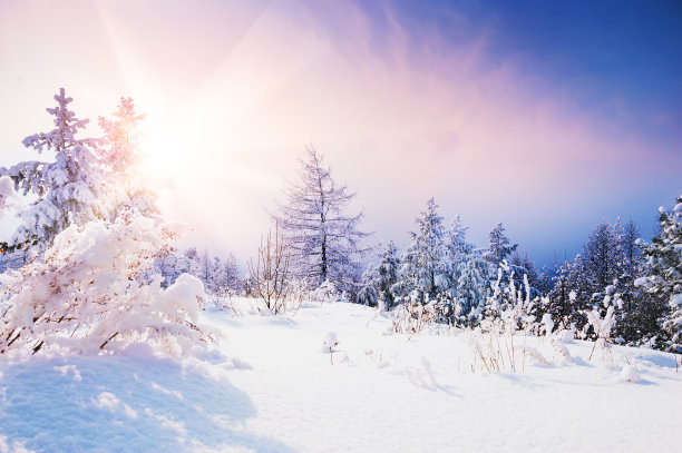 冰天雪地 冬天 雪景 风景 自