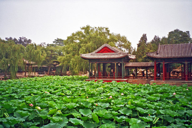颐和园的湖面