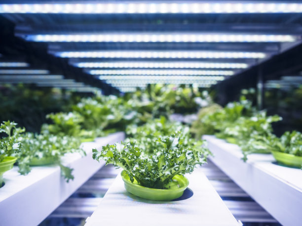greenhouse