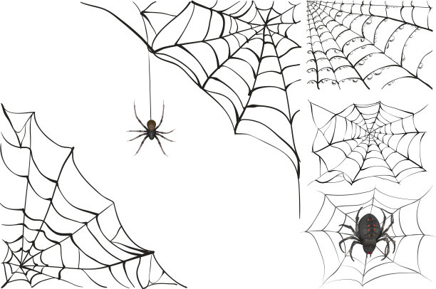 araneae