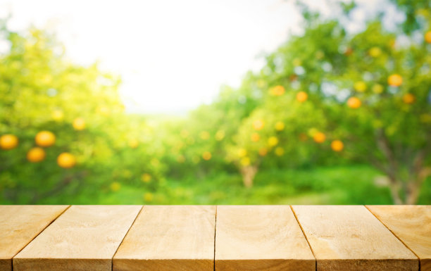orchard