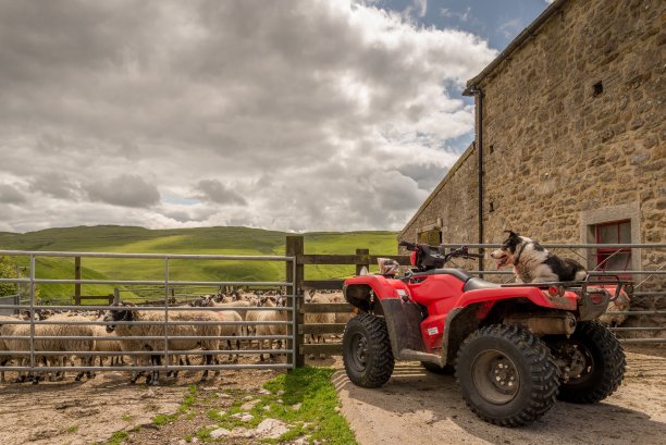 farm