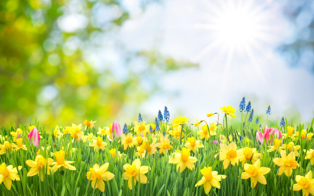 springtime