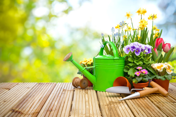 horticulture