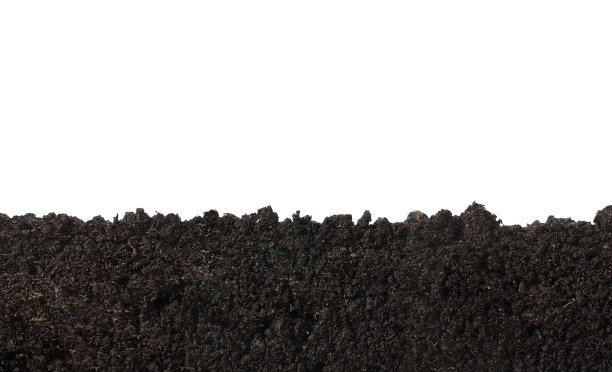 dirt