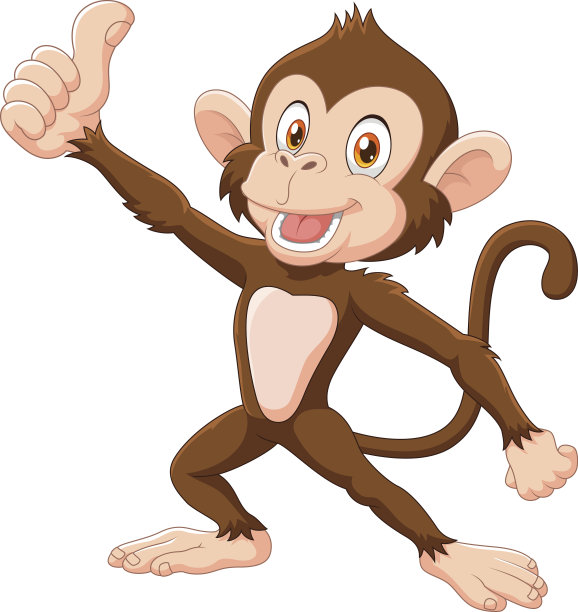 monkey
