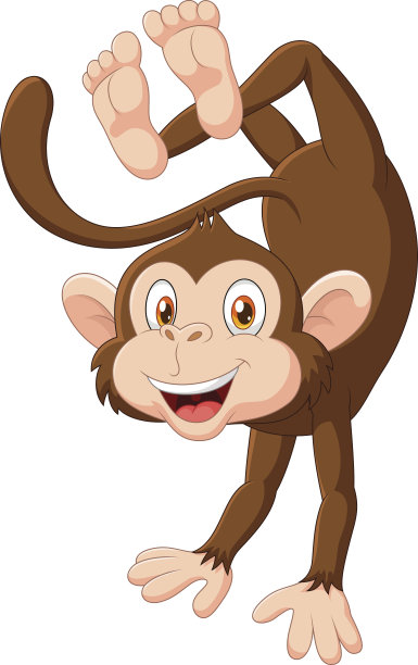 monkey