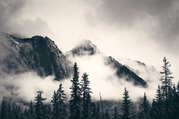 misty