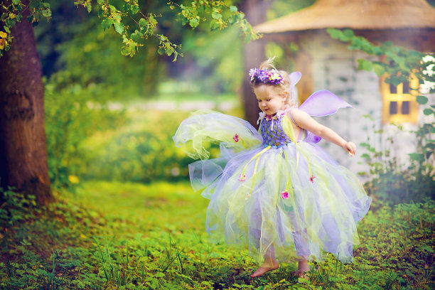 fairy