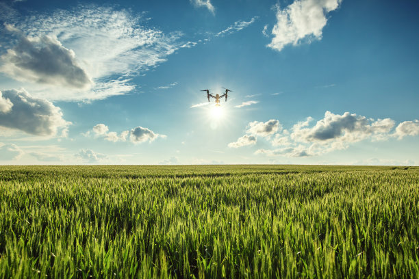 agricultural