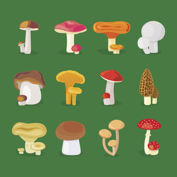 蘑菇群
