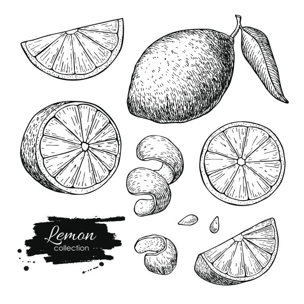 柠檬插画