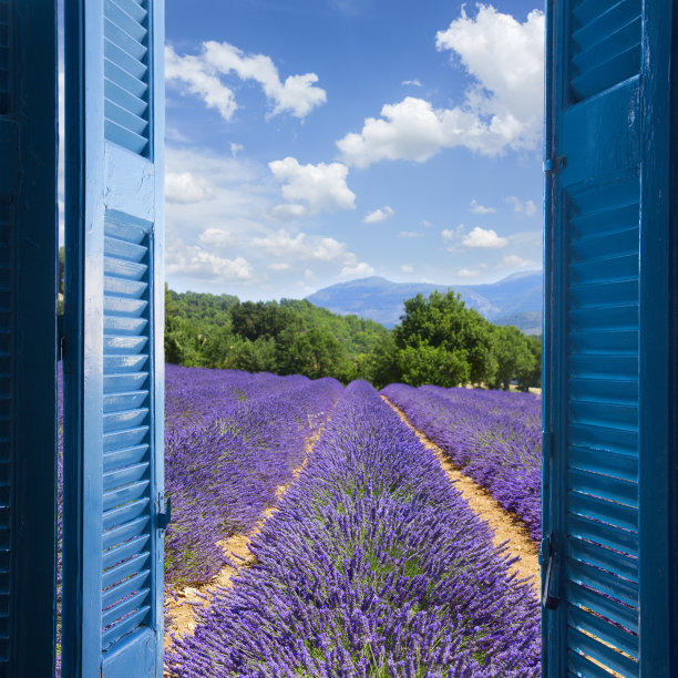 provence