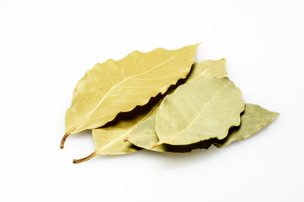 laurel