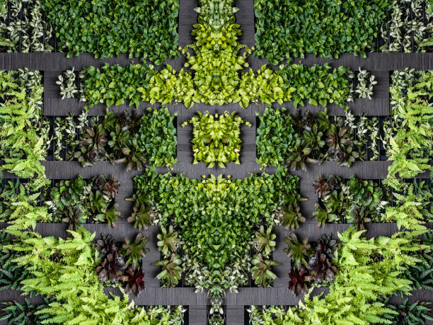 植物墙绿色植物