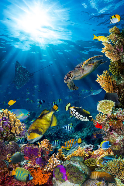 aquarium