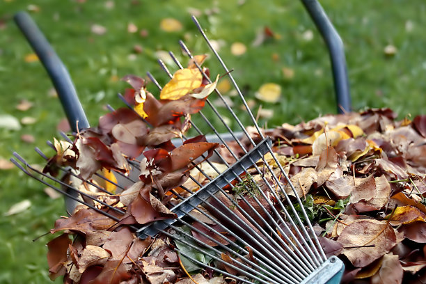 rake