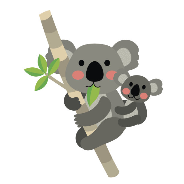 koala