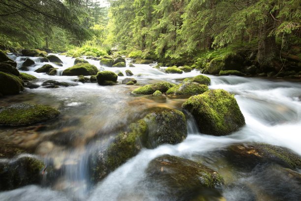 stream