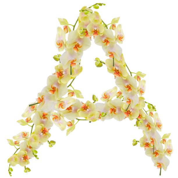 字母花卉组合