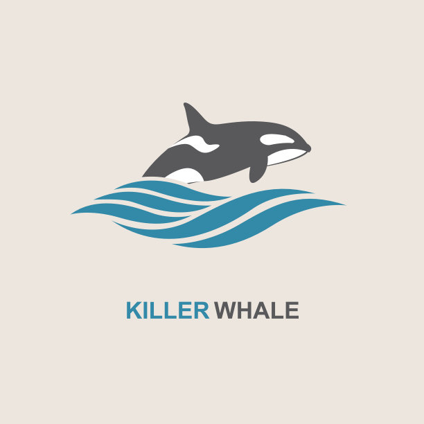 野生动物,逆戟鲸,水面