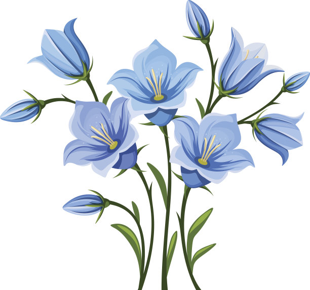 hyacinthoides
