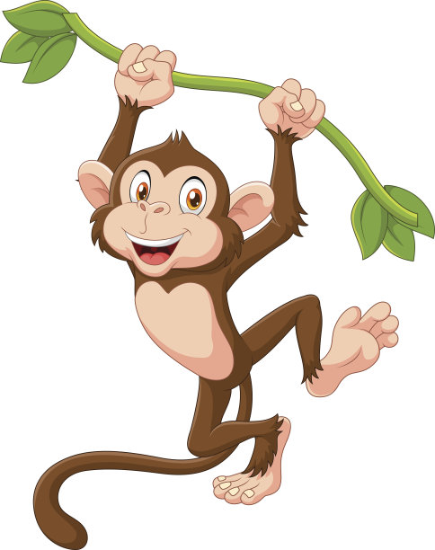 monkey