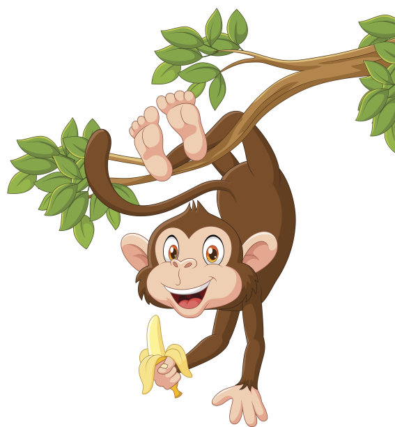 monkey