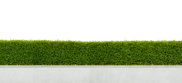 fence