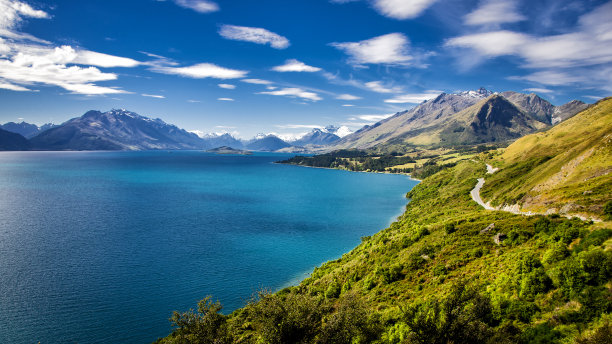 nz