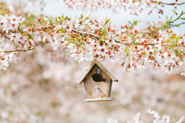 springtime