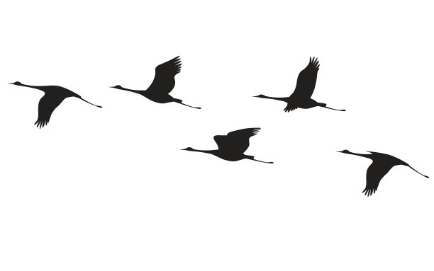 egret