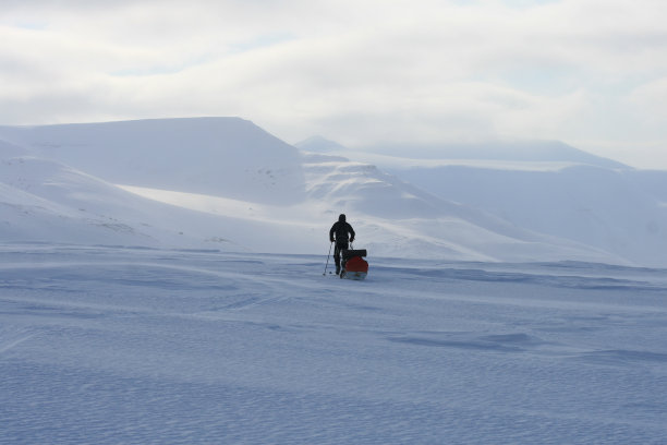 arctic