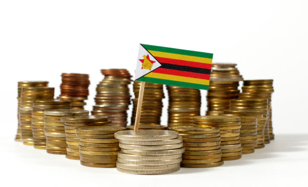 zimbabwean