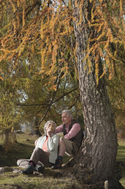 退休女子坐在树干上微笑
