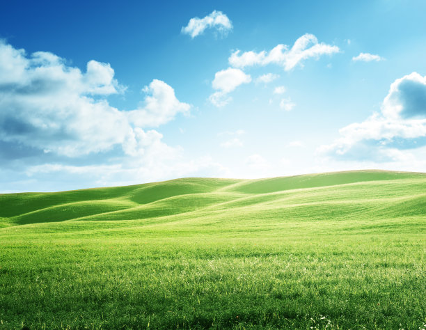 grass