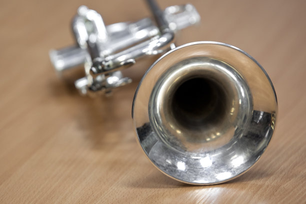 horns