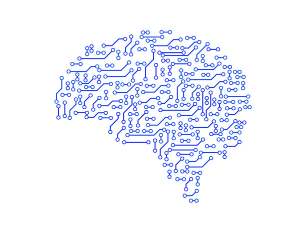 brain