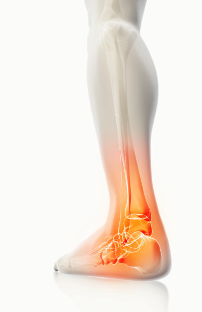 feet