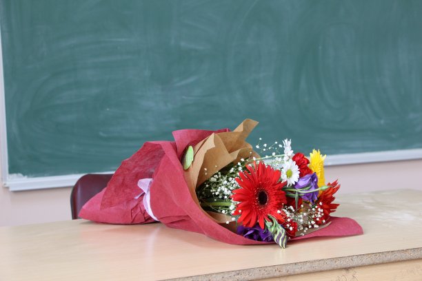 teachers