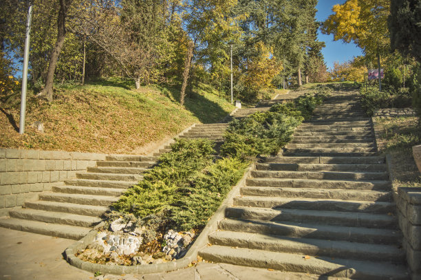steps
