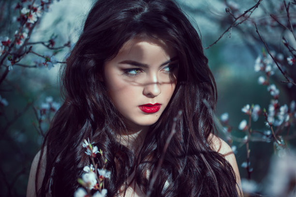 fairy