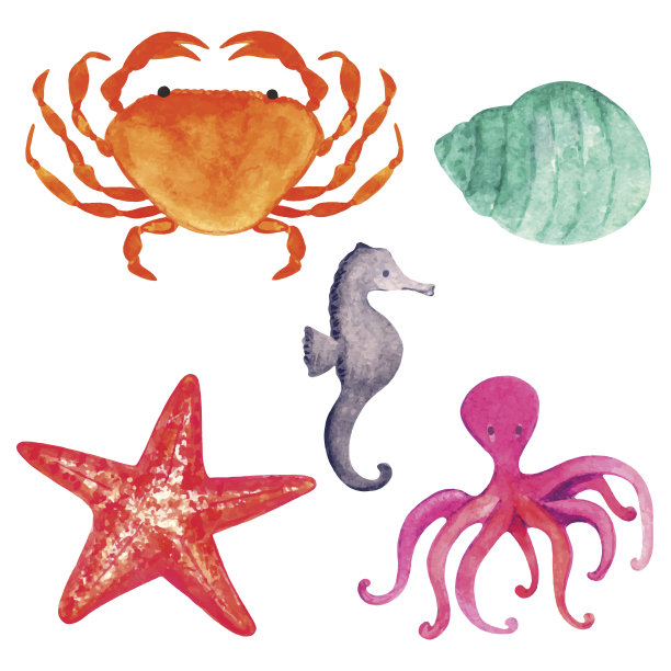 矢量动物海洋生物海螺