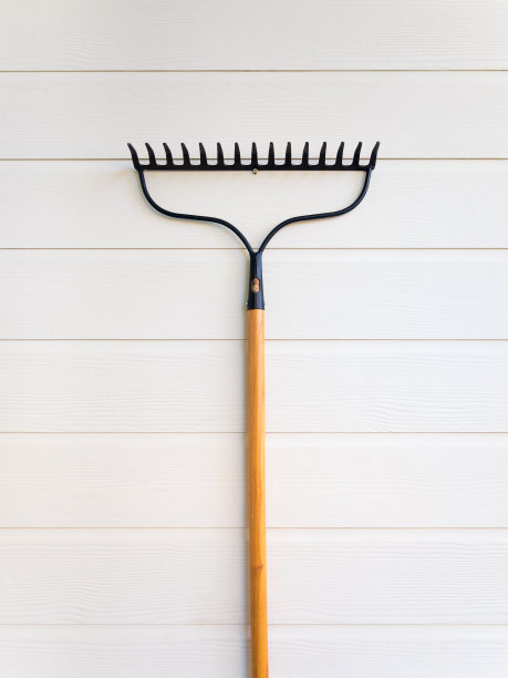 rake