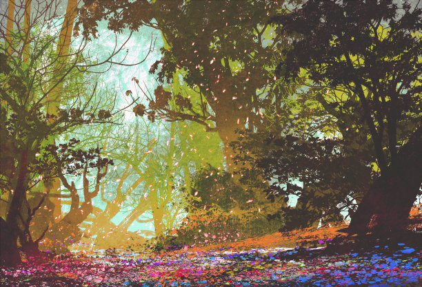 装饰手绘花挂画